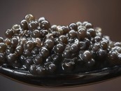 ¿Qué hace al caviar ser el ‘oro negro de Italia’ y el alimento indicador de la alta alcurnia?